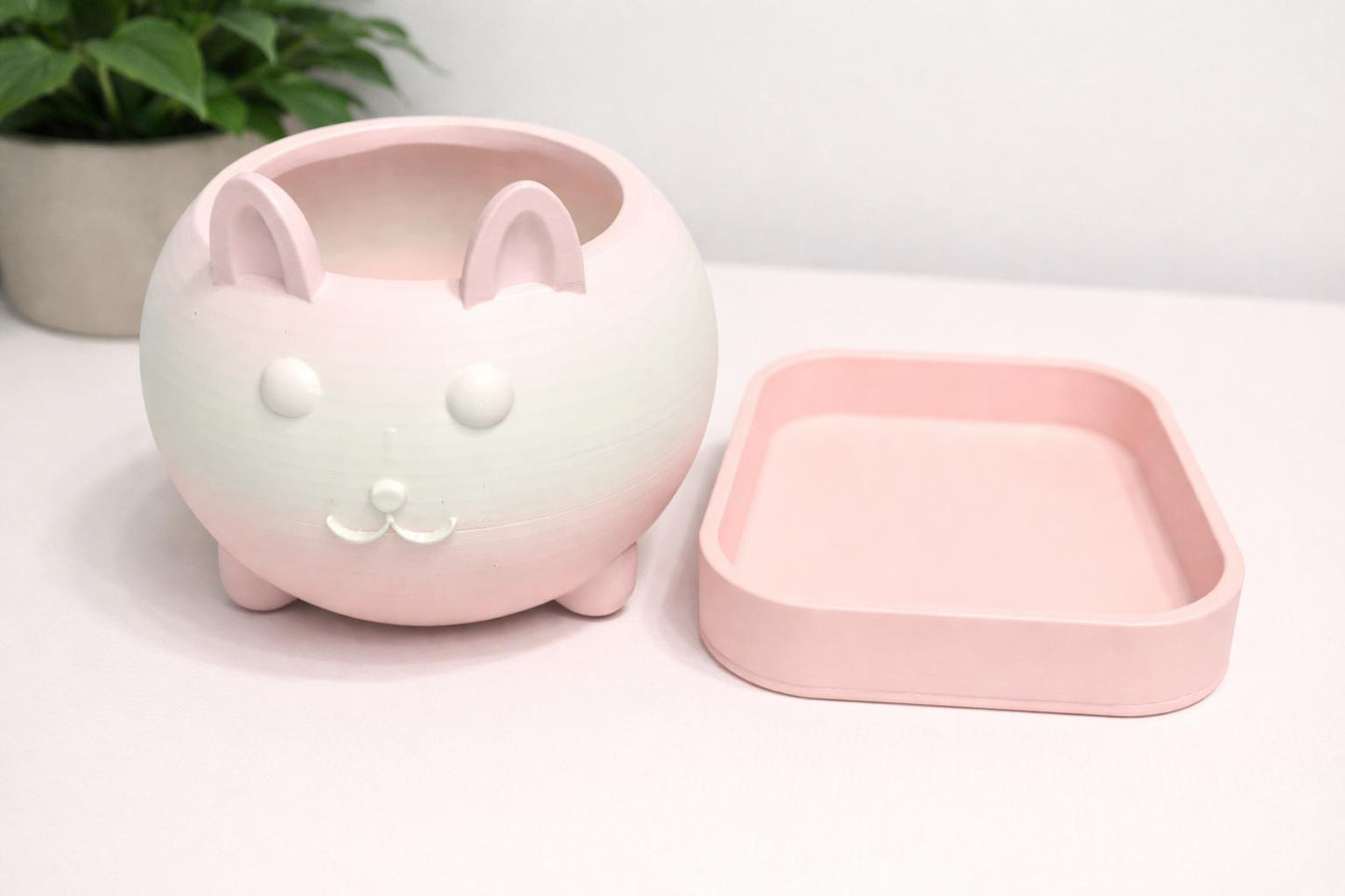 Cat Planter with Tray | Pastel Succulent Flower Pot, Desk Decor