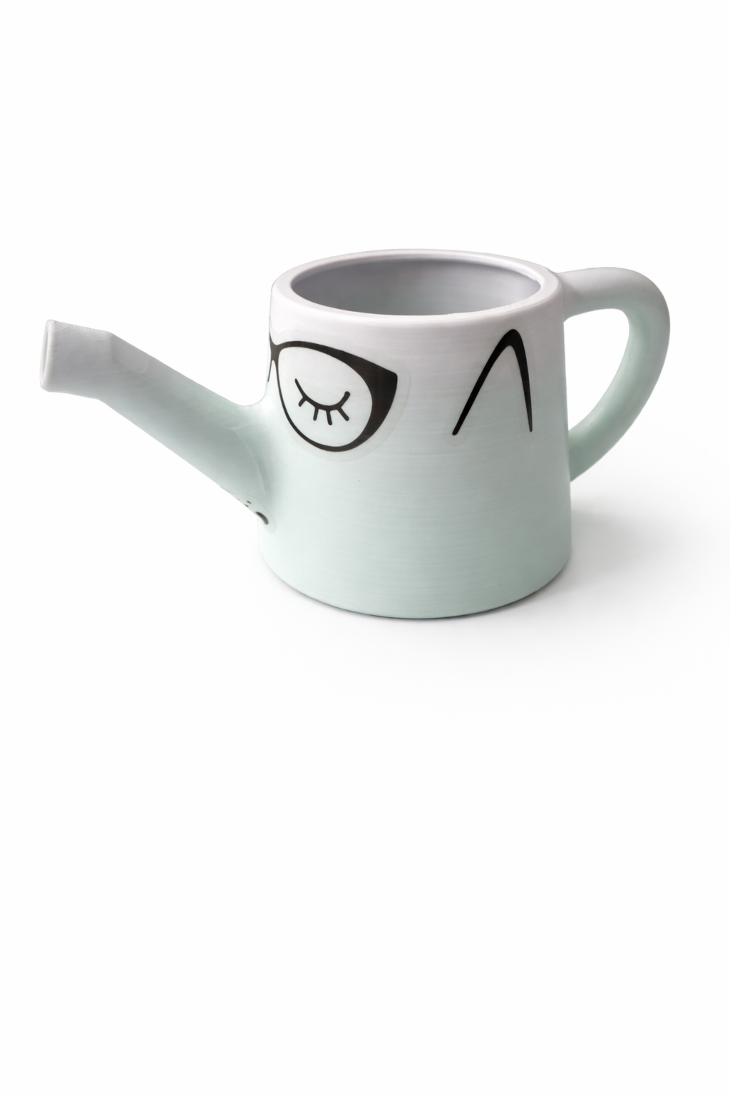 Cat Planter Set with Tray & Watering Can