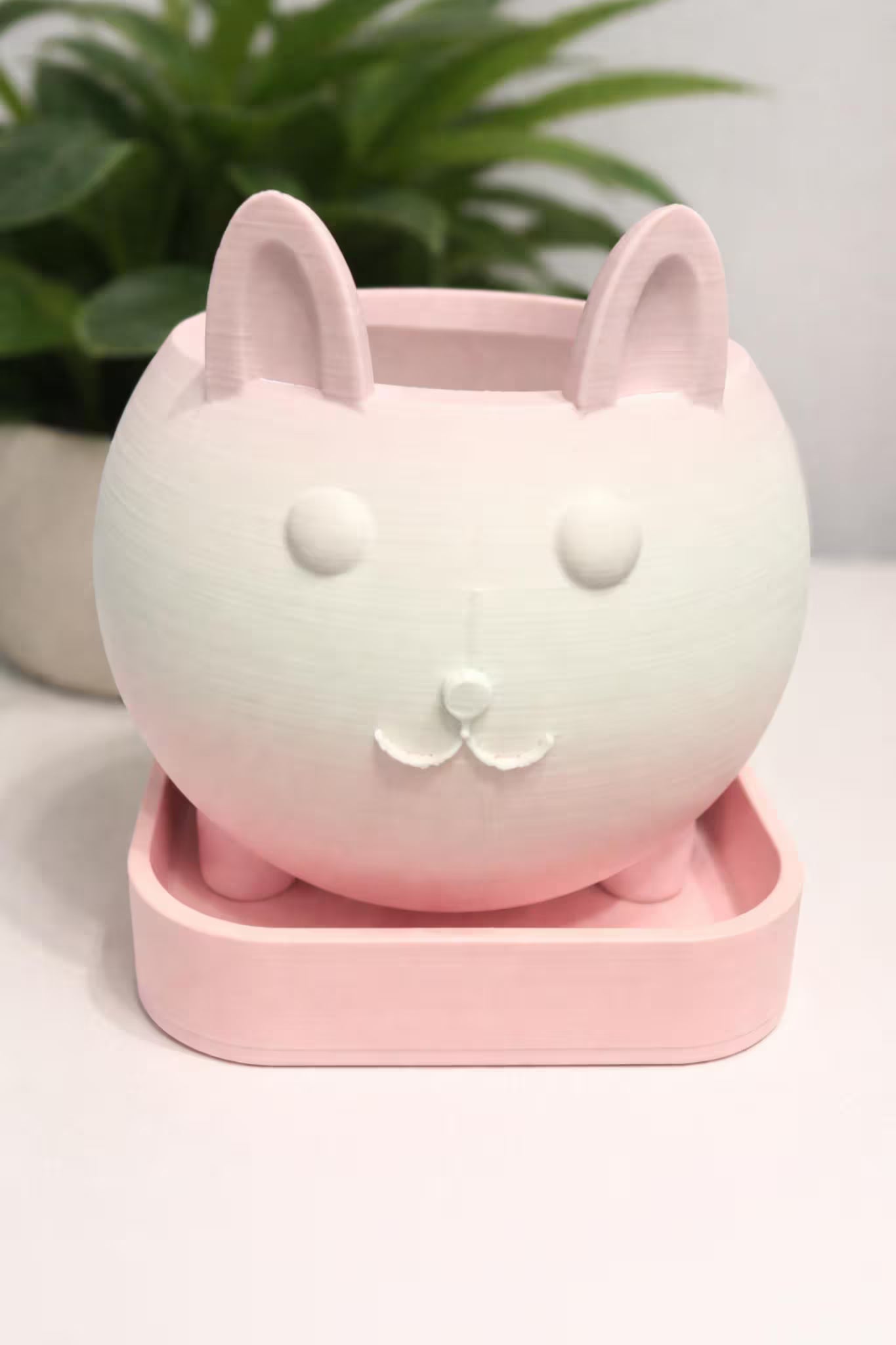 Cat Planter with Tray | Pastel Succulent Flower Pot, Desk Decor