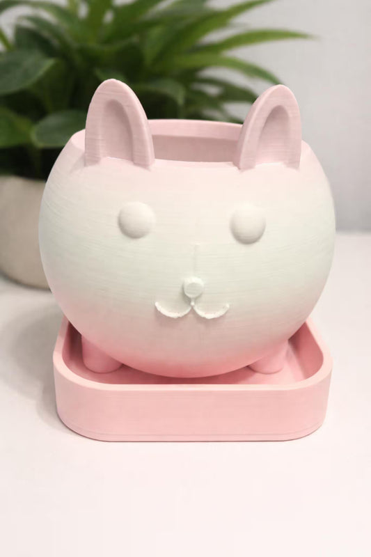 Cat Planter with Tray | Pastel Succulent Flower Pot, Desk Decor